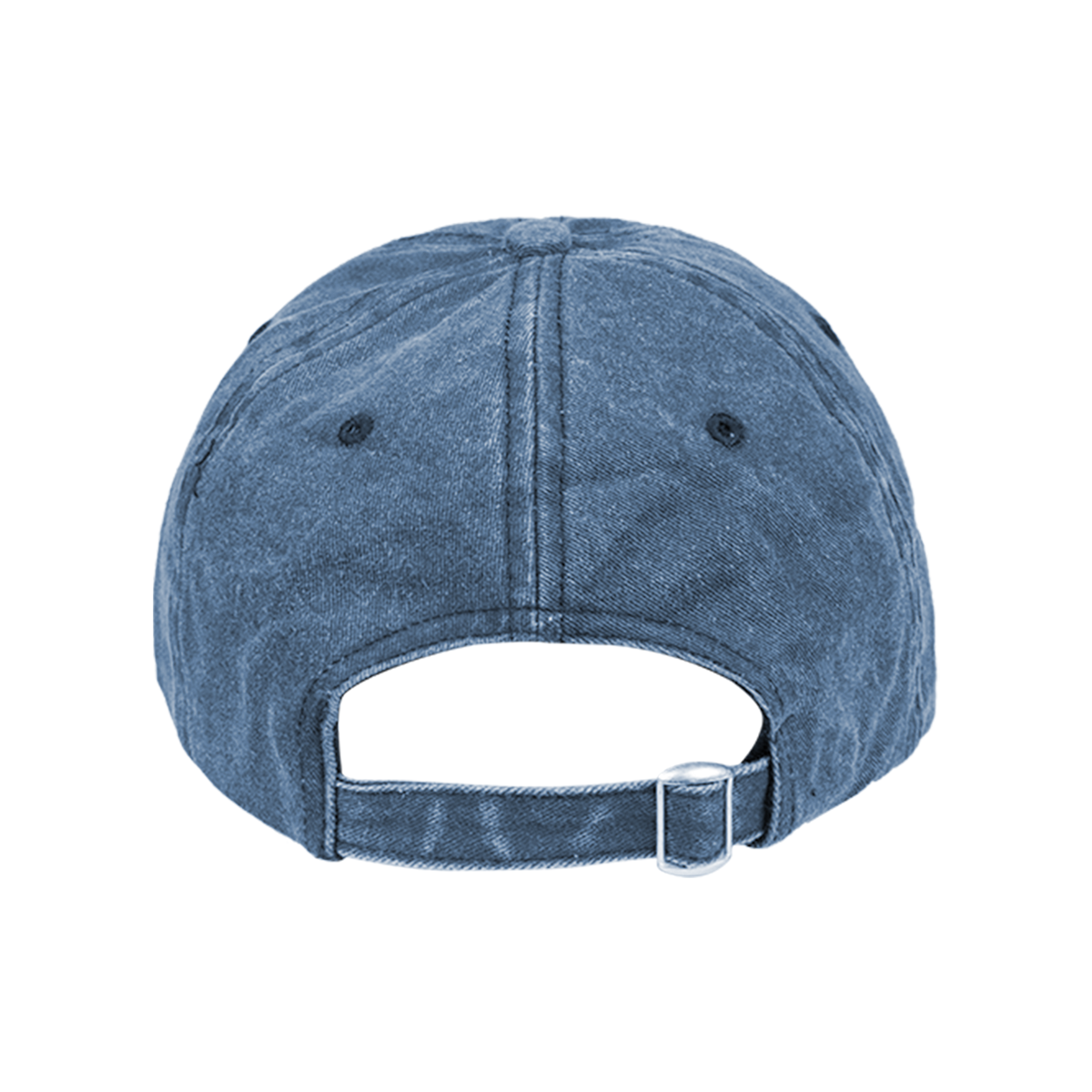 Logo Denim Dad Hat